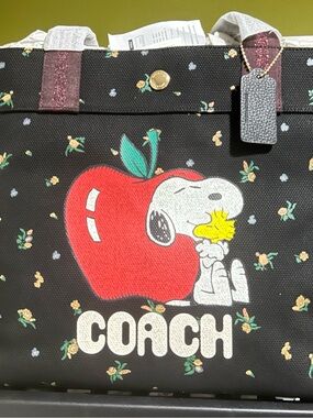 Coach Snoopy Apple Black Floral Mini Rose Tote size is in pics
